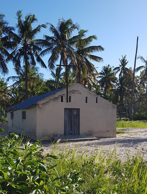 ilha dos porcos