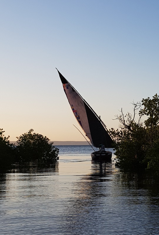 final de tarde velejando