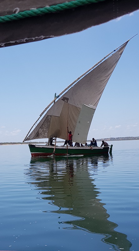 barco na ilha dos porcos