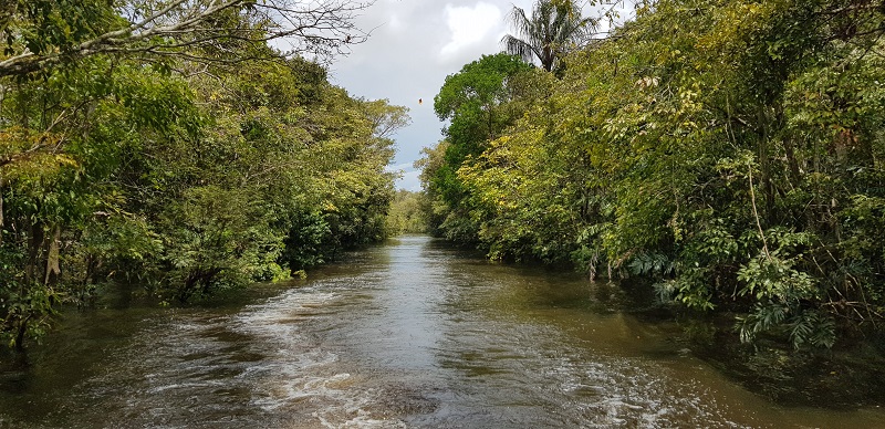 passeio pelo rio negro