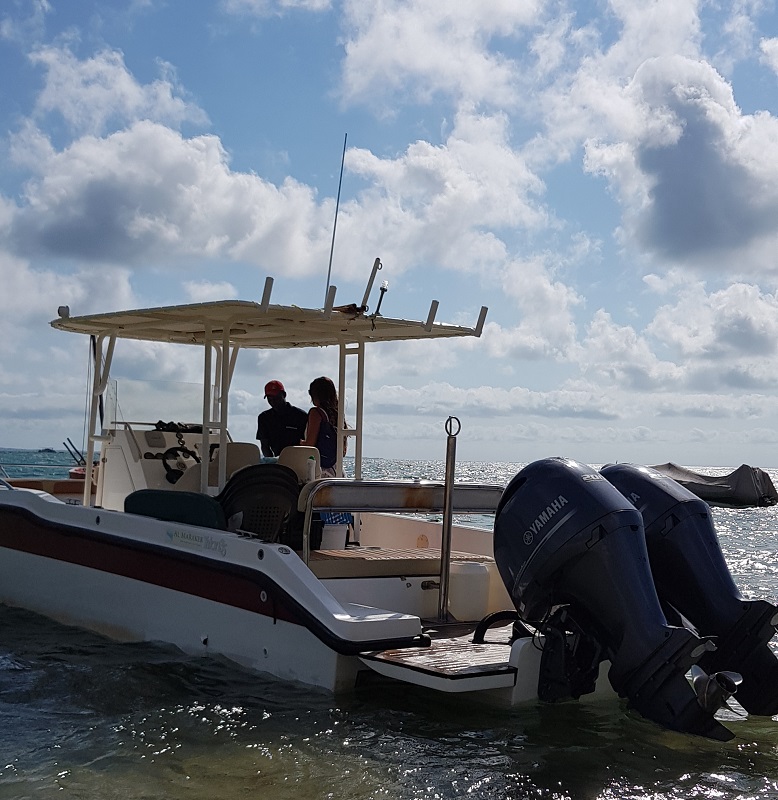 Passeio de barco