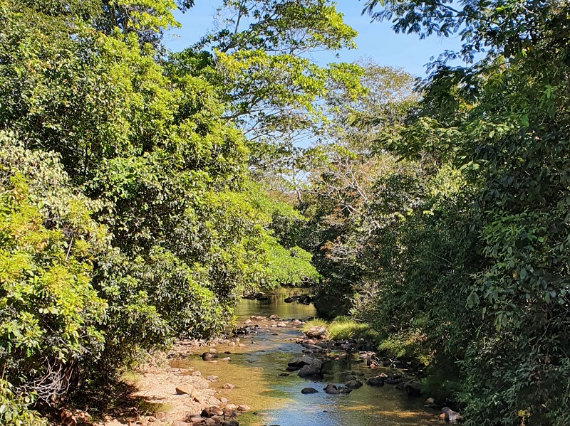 Mundo dos Pássaros - vista da ponte 