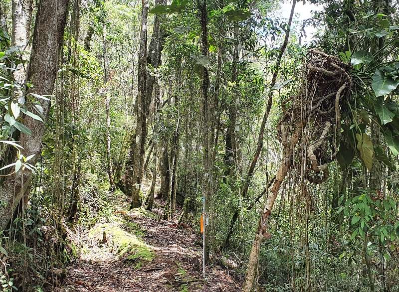 Dica de hospedagem em Itamonte: Abrigo Alto Montana